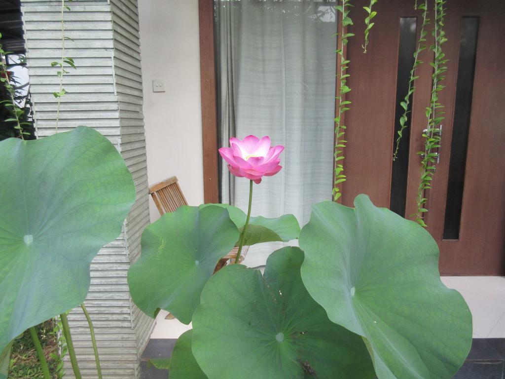 Rika Maison d'hôtes
